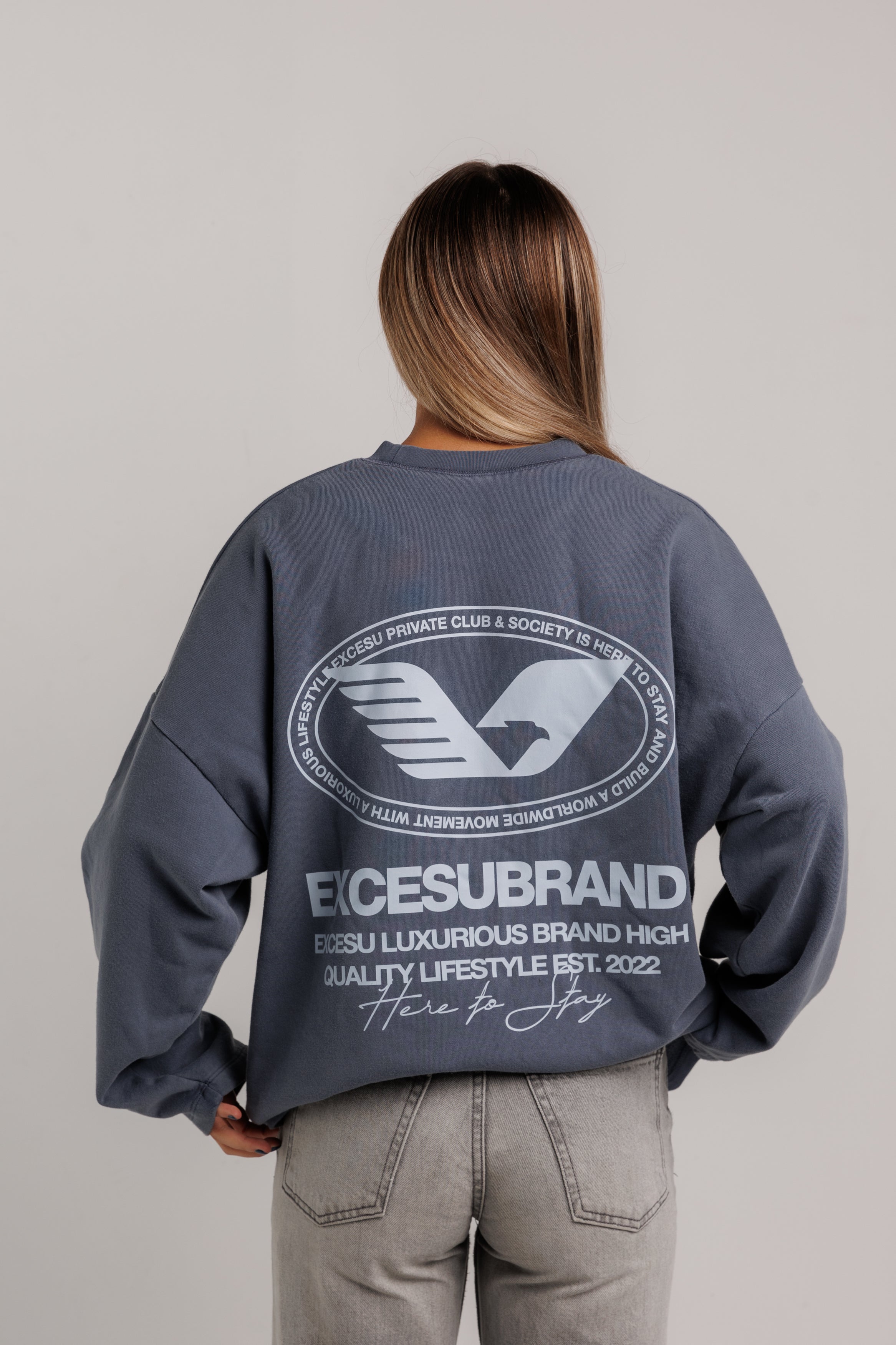 Crewneck Aviation Washed Blue