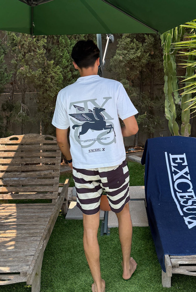 Camiseta blanca de Pegaso