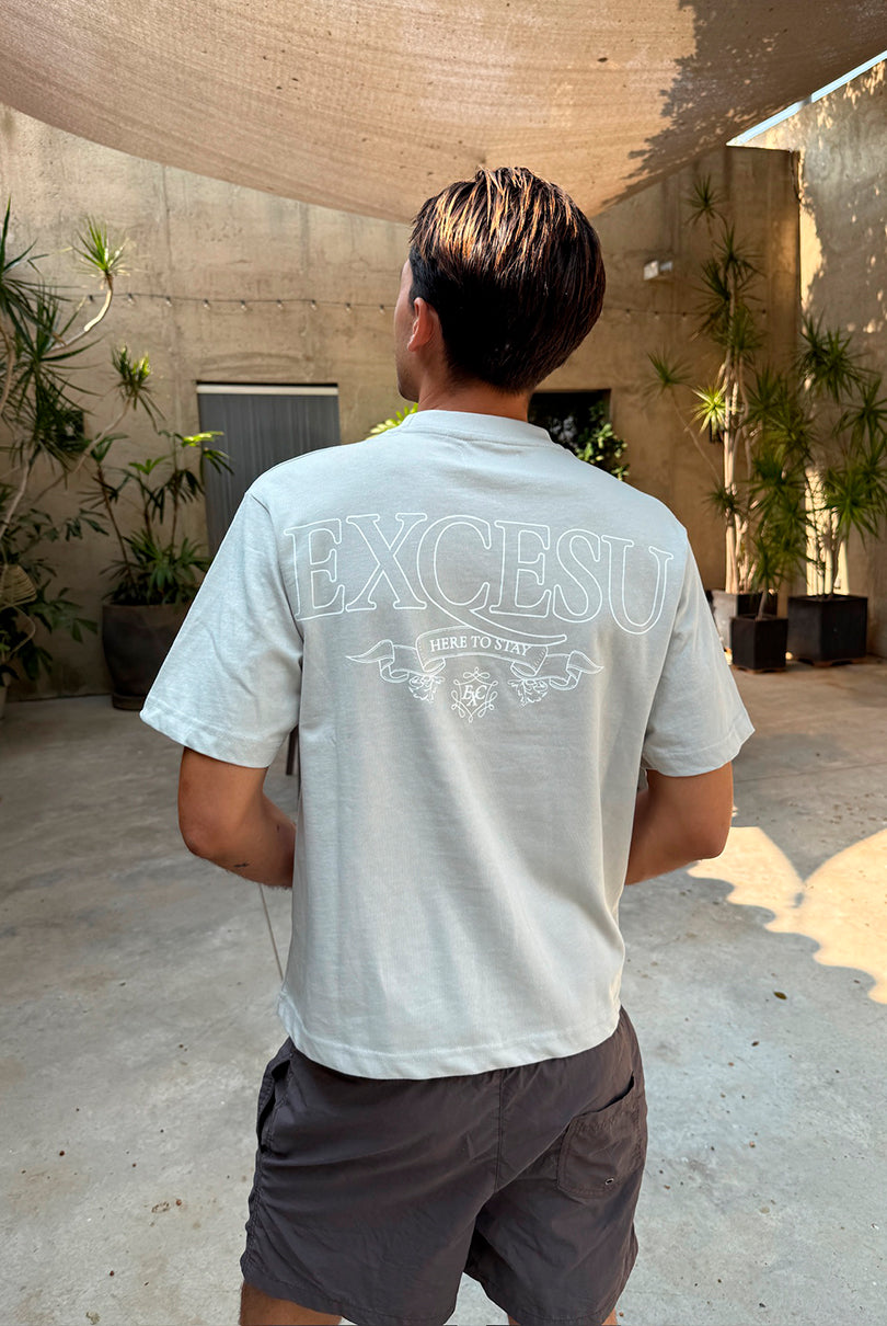 Gray Ribbon T-shirt