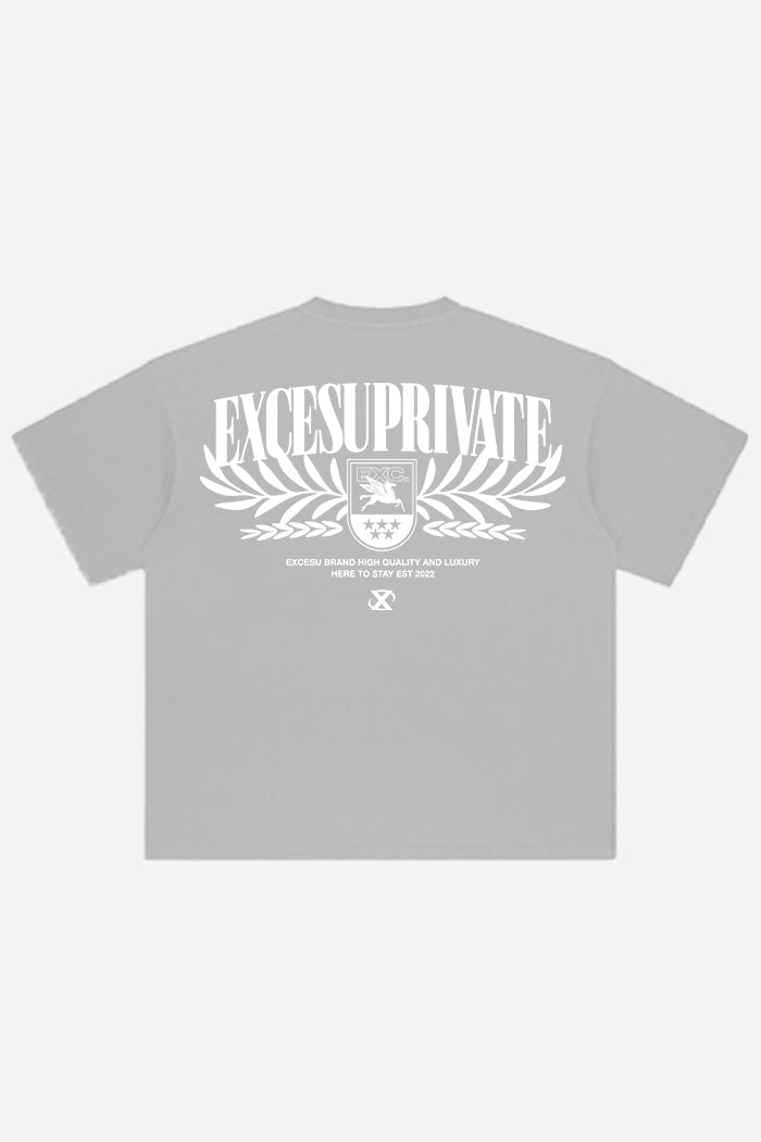 Camiseta Private Grey