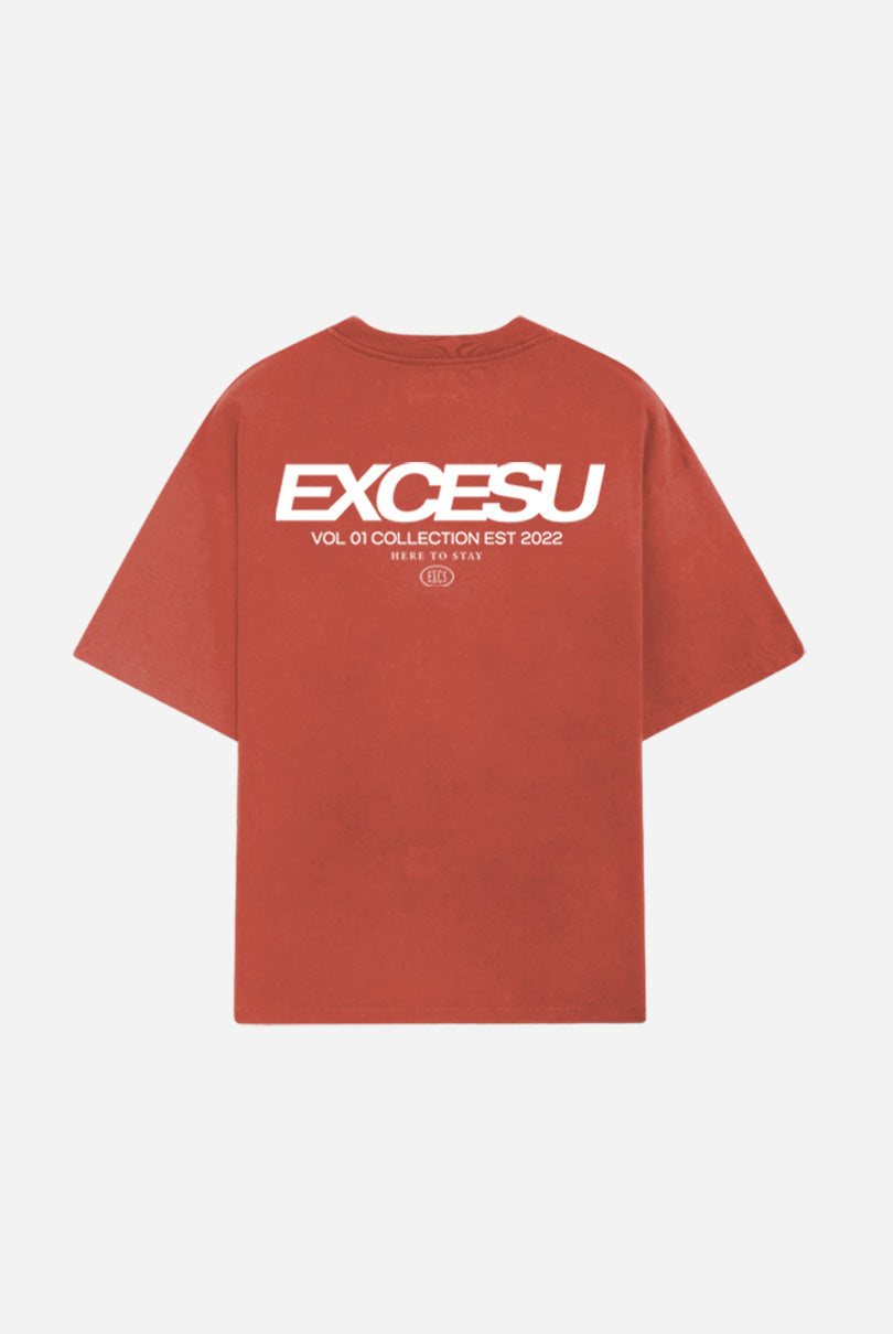 Camiseta Premium Efecto Desgastado Rojo Excesu