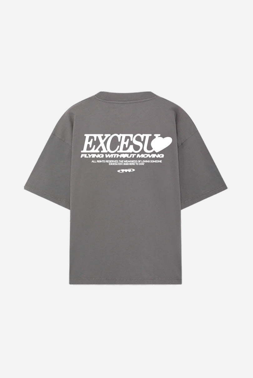 Camiseta San Valentin Oversized Gris Excesu